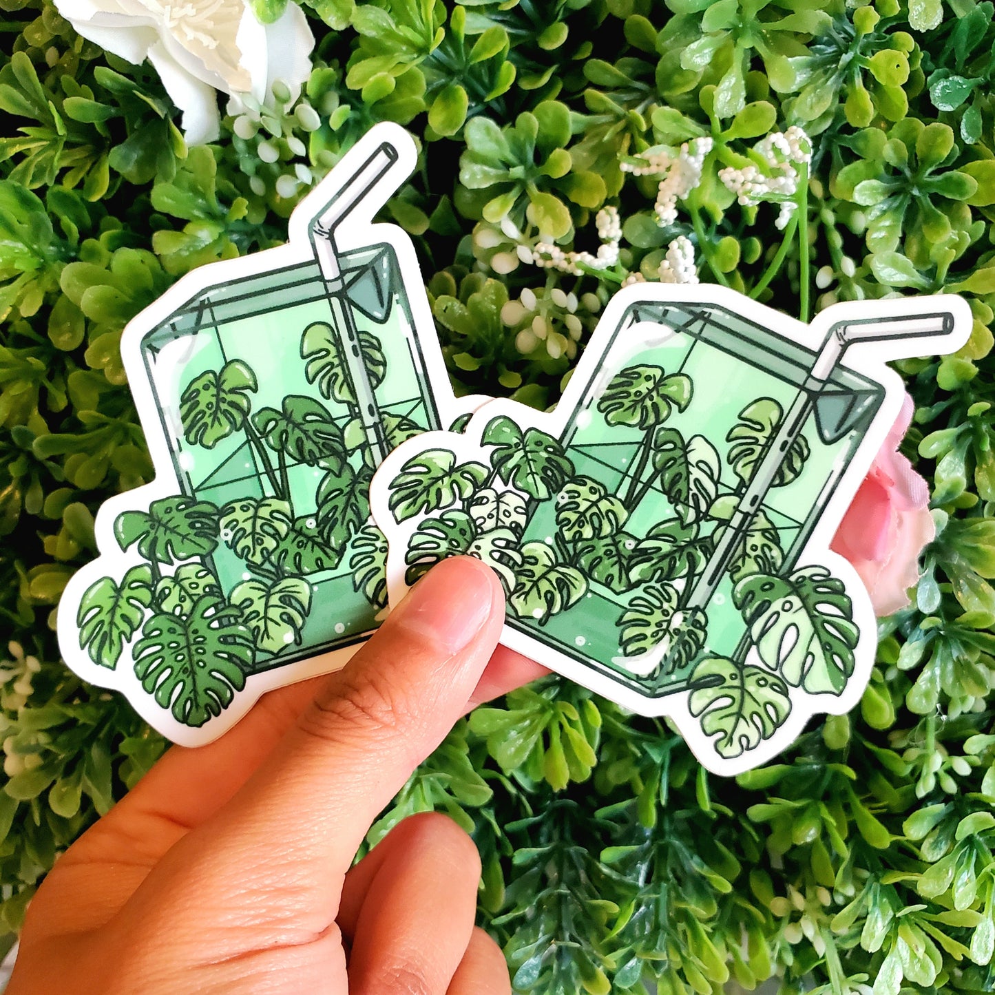 Monstera Juice Stickers